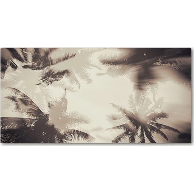 Fotoobraz na skle palmy 100x50 cm