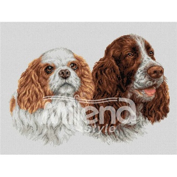 Milena Style Кокери - гоблен със схема конци dmc 1: 1