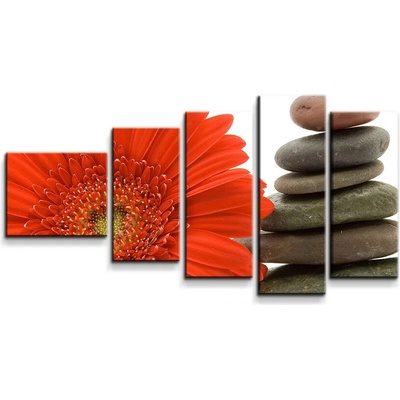 Sablio Obraz - 5-dílný Gerbera s kameňmi - 100x60 cm