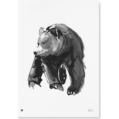 Plagát Gentle Bear 50x70