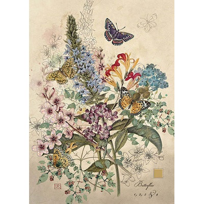 Přání D162 BUG ART