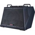 Joyo BSK-150 Black Комбо усилвател за електро-акустична китара (BSK-150 BL)