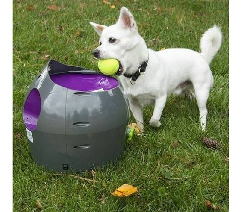 PetSafe automatický vrhač míčků