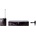 AKG WMS45 Presenter/U2