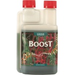 CANNA Boost Accelerator 250ml