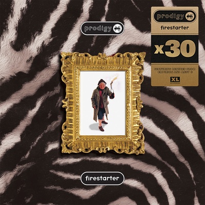 The Prodigy - Firestarter (X30) LP
