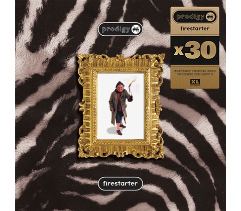 The Prodigy - Firestarter (X30) LP