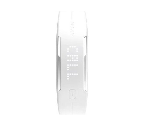 POLAR Loop 2