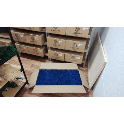 Stabilizovaný mach – sobí - lišajník – Reindeer moss - modrý - celé balenie 5kg