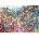 Grafika Art Puzzle - Puzzle Sally Rich: Wildlife Garden - 1 000 piese