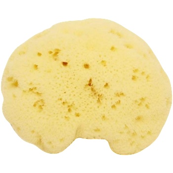 Cose della Natura Избелена копринена гъба - 1 Брой