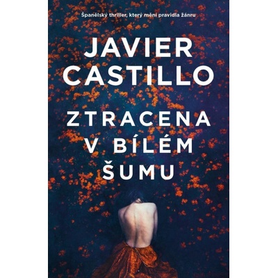 Ztracena v bílém šumu - Javier Castillo