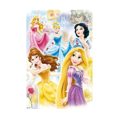 Plakát Disney: Princezny (61 x 91,5 cm) 150 g
