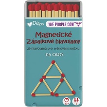 Ditipo Magnetická hra Zápalkové hlavolamy