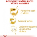 Royal Canin Dachshund Adult 1,5 kg