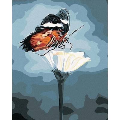 zuty Malování Podle Čísel Motýl Na Květině 40 x 50 Cm Plátno Rám