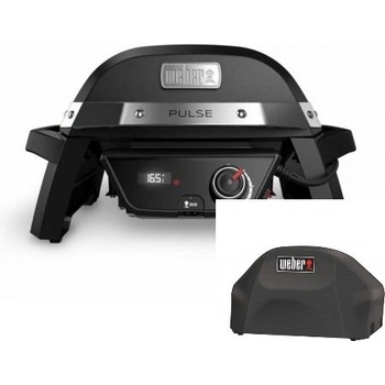 Weber PULSE 100