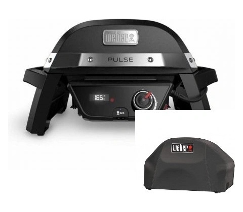 Weber PULSE 100