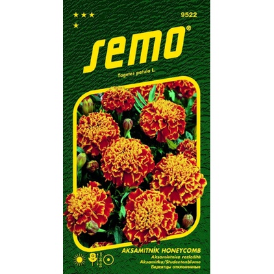 Semo Aksamitník rozkladitý Honeycomb Super Hero Orange Flame 30s