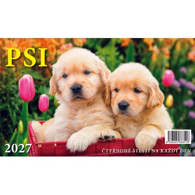 stolní PSI 2027
