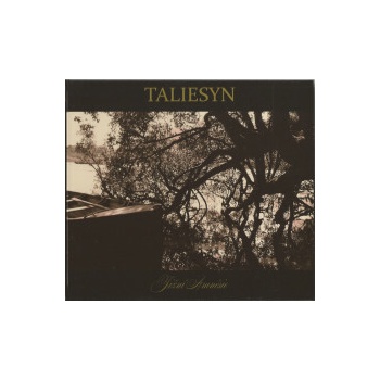 TALIESYN: JIZNI AMNESIE CD