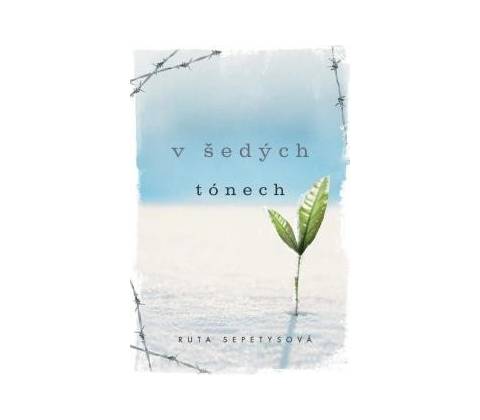 V šedých tónech