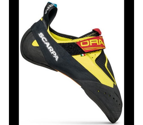 Scapra Drago