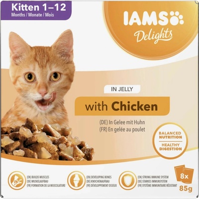 IAMS DELIGHTS Kitten in Jelly box 8 x 85 g