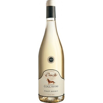 Pinot Grigio Villa Canlungo Green Label Venezia Giulia 2024 12,5% 0,75 l (čistá fľaša)