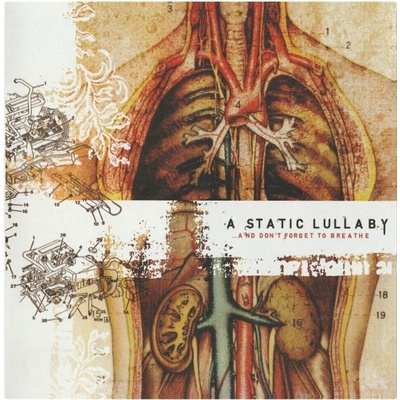A Static Lullaby - & Don't Forget To Breathe (Indie Exclusive) (Reissue) (Pink Marble Coloured) (LP) (0684514448529)