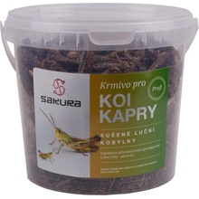 Sakura Sušené luční kobylky 5 l, 750 g