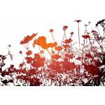 DIMEX ART Флизелинов фототапет флорална текстура 375 x 250 см
