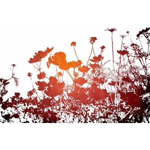DIMEX ART Флизелинов фототапет флорална текстура 375 x 250 см
