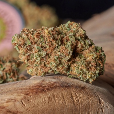 Soma Seeds Lavnesia semienka neobsahujú THC 10 ks