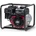 Briggs & Stratton WP2-65 (073035)