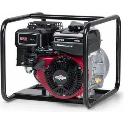 Briggs & Stratton WP2-65 (073035)