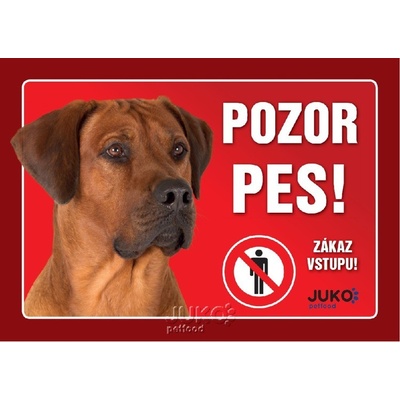 Juko Plastová tabuľa Pozor Pes Rhodéský Ridgeback 21 x 14,7 cm