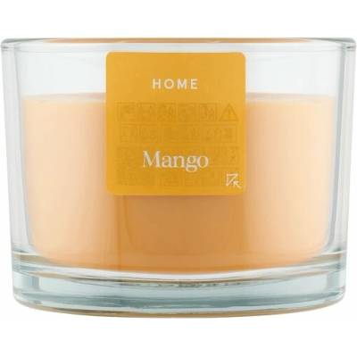 Tesco Home Mango 300 g