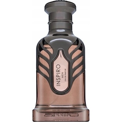 Riiffs Inspiro parfumovaná voda pánska 100 ml