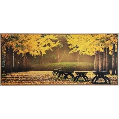 Bondecor Obraz na plátně v rámu "Podzim v parku" 134x59cm Barva: Přírodní rám