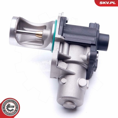 AGR-Ventil ESEN SKV 14SKV172
