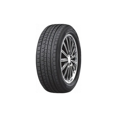 Roadstone Eurovis Alpine WH1 205/55 R16 91T