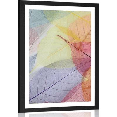 Plakát s paspartou žilky na barevných listech - 40x60 black