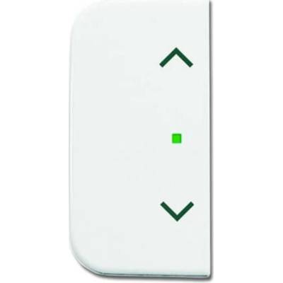 Busch-Jaeger 2CKA006220A0092