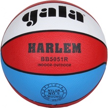 Gala Harlem