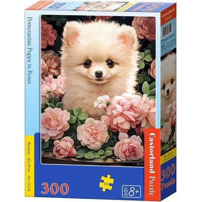 Castorland Castor Štěně Pomeraniana v růžích 300 dílků