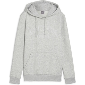 PUMA Суичър Puma Women's Logo Lab Hoodie - Graph Reg