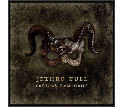 Jethro Tull Curious Ruminant Digipack CD
