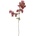 Bloomingville Изкуствено цвете Bloomingville мирта лилаво (82061481)