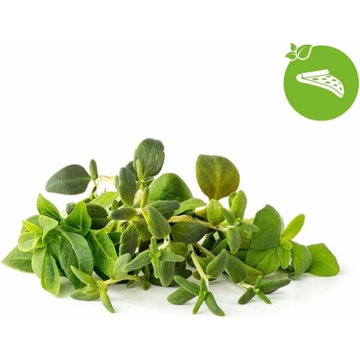 Click and Grow Mix Italských bylin kapsle se semínky a substrátem 9 ks